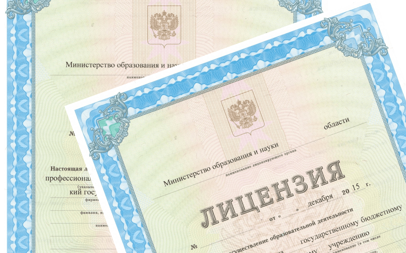 Лицензирование картинка для презентации